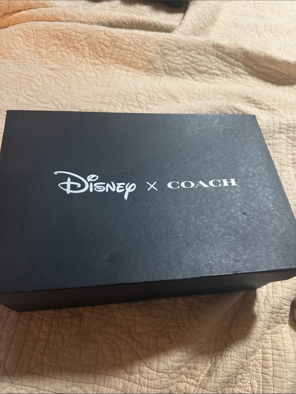 Disney Coach Sneakers
